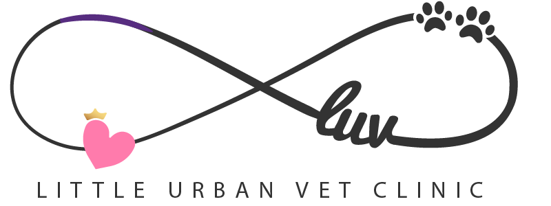 Little Urban Vet Clinic